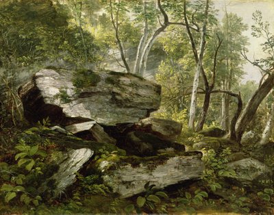 Study from Nature: Rocks and Trees by Asher Brown Durand